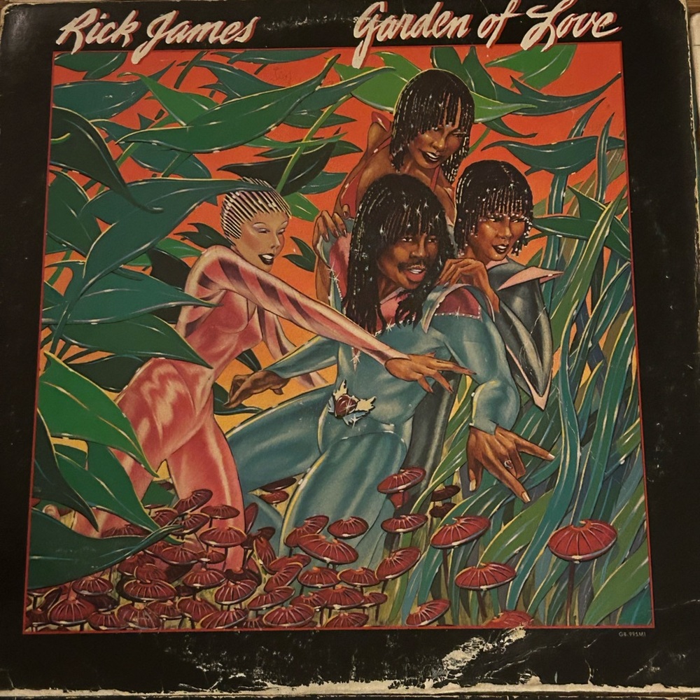 Classic Vinyl Record Collection - Picture 2 of 8